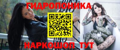 амф Кимры