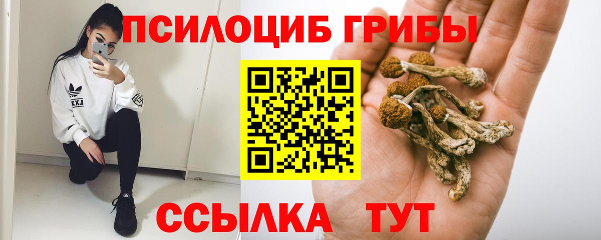Конаково  Галлюциногенные грибы Magic Shrooms  Галлюциногенные грибы MAGIC MUSHROOMS  Вход с VPN 